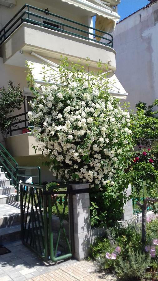 Dimitra Apartments เกราโมตี ภายนอก รูปภาพ